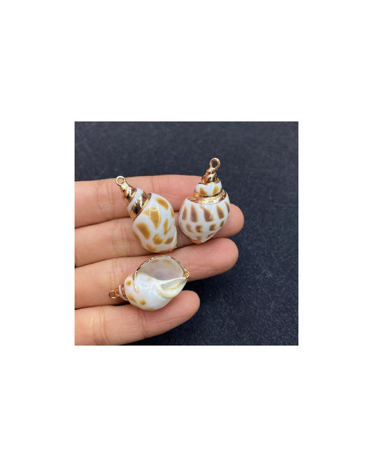 SUMMER SHELL