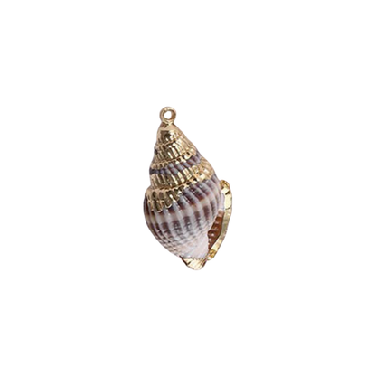 BABYLONIA SHELL