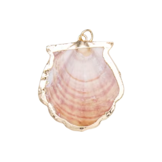 SCALLOP SHELL