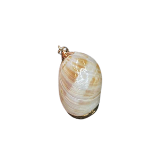 DUNE SHELL CHARM