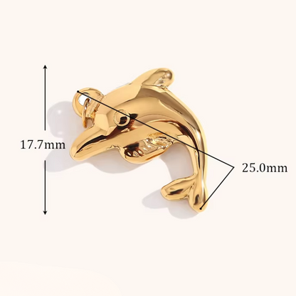 DOLPHIN CHARM
