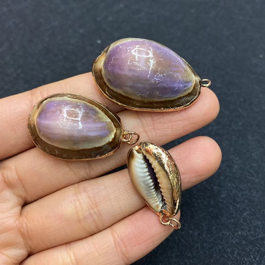 COWRIE SHELL - Purple