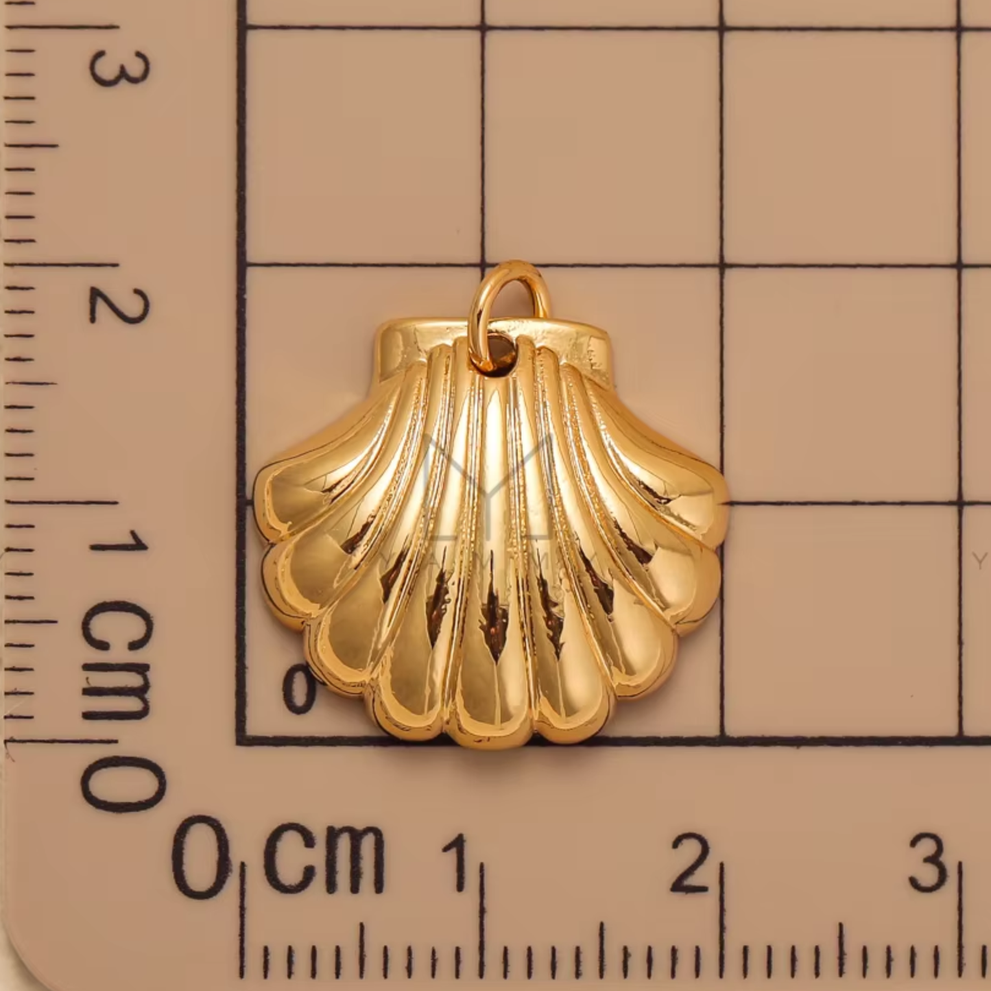 Golden Shell Luxe Charm