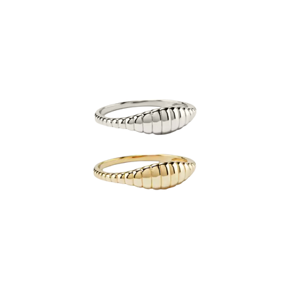 Tidal Shell Ring